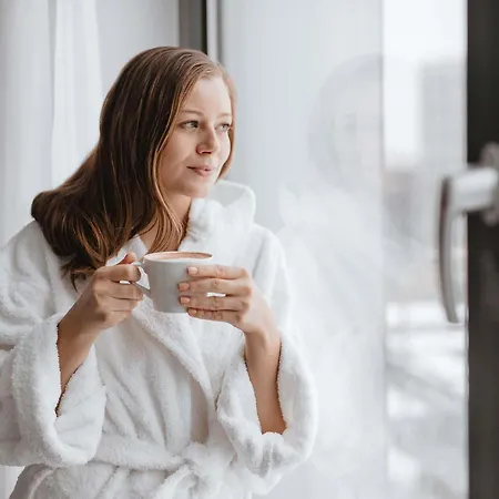 Hotel Ibis Airport 3*