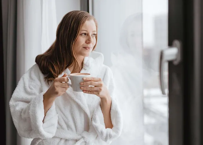 فندق Ibis Airport 3*